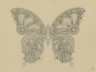 author drawing - butterfly no2 - original