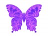 author drawing - butterfly no2 violet - copy