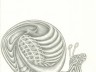 author drawing - tattoo 2 - snail - original