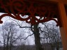 Ornamenty ażurowe na tle starych drzew parku w Radoniach